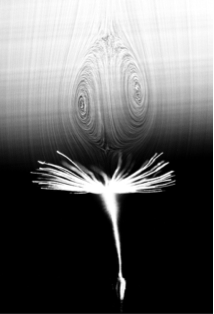 1650419383622142.png image.png